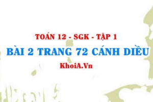 Bài 2 trang 72 Toán 12 tập 1 Cánh Diều